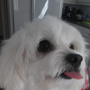 Meet your Posher, María lourdes